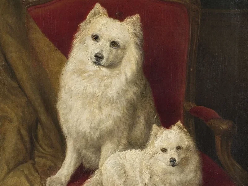 1822-Auguste Corkole - Due cani su una sedia, 1863